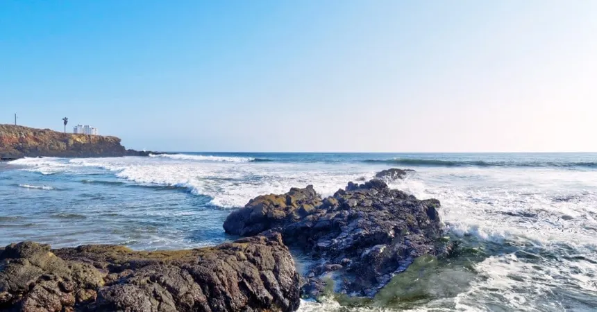 Baja del Mar residency blog article, Baja California mexico
